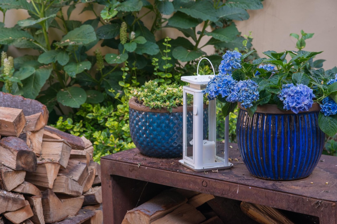 Monastery Garden Bistro, photo 5